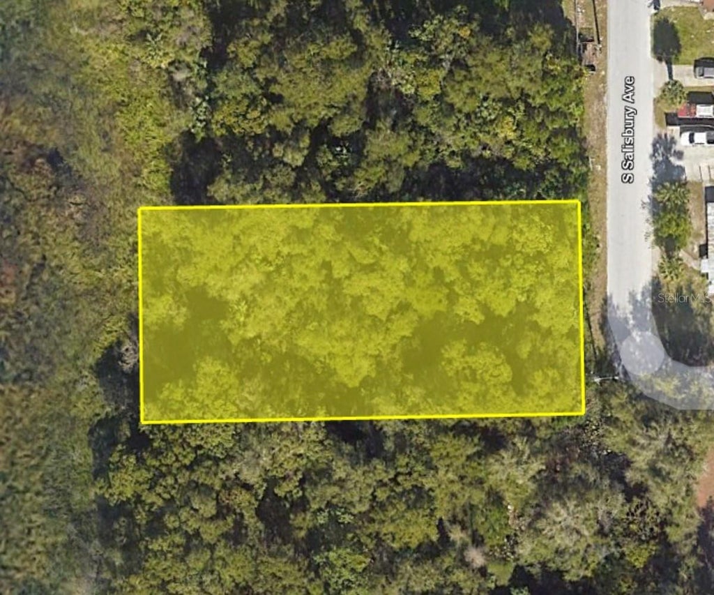 Photo of 916 S Salisbury Avenue, Deland, FL 32720 (MLS # G5118228)
