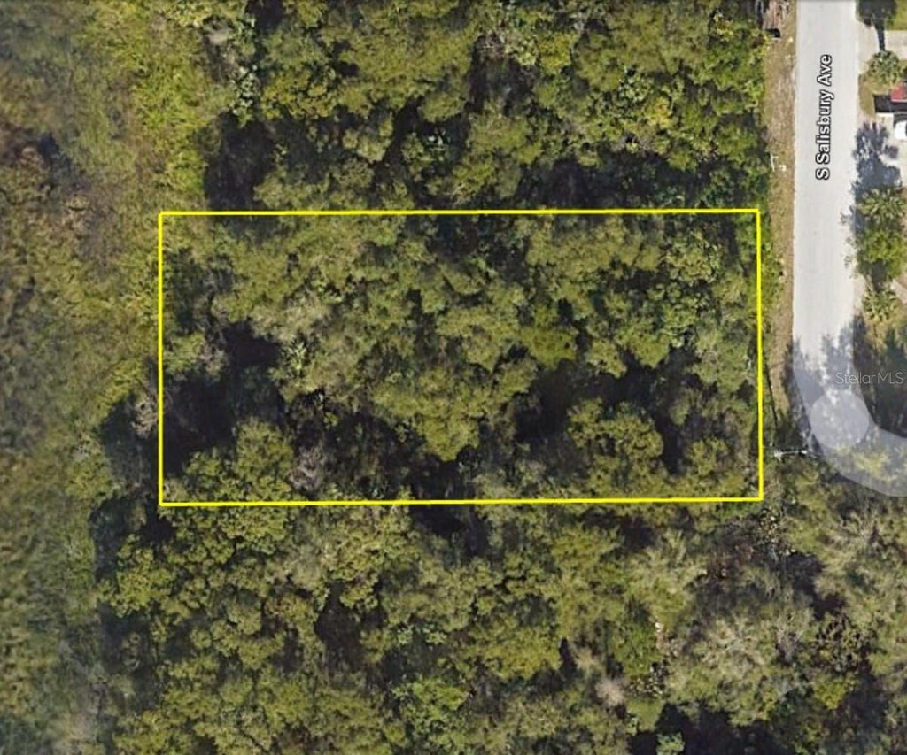 Photo of 916 S Salisbury Avenue, Deland, FL 32720 (MLS # G5118228)