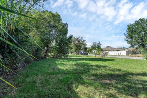 A home in HAINES CITY