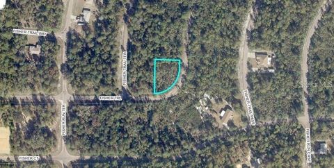 TBD FISHER TRAIL OCKLAWAHA FL 32179