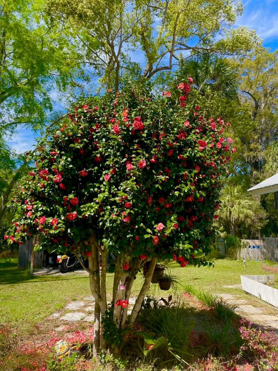 G M WHETSTONE ESTATE ADD TO H S - Residential