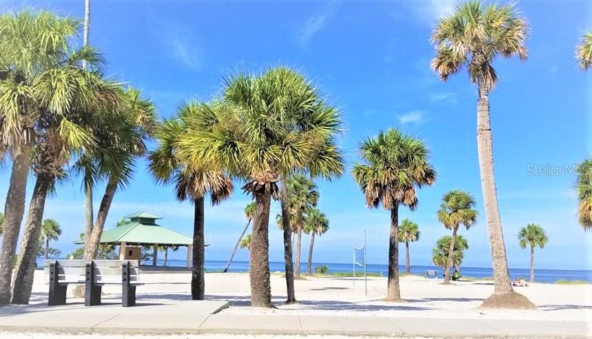 TARPON SPGS OFFICIAL MAP - Residential Lease