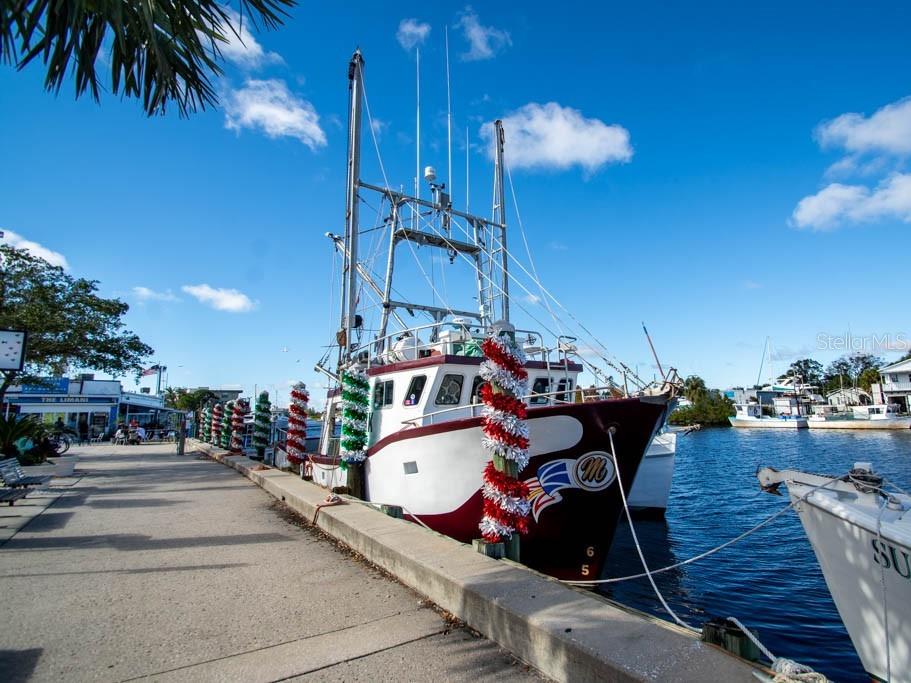 TARPON SPGS OFFICIAL MAP - Residential Lease