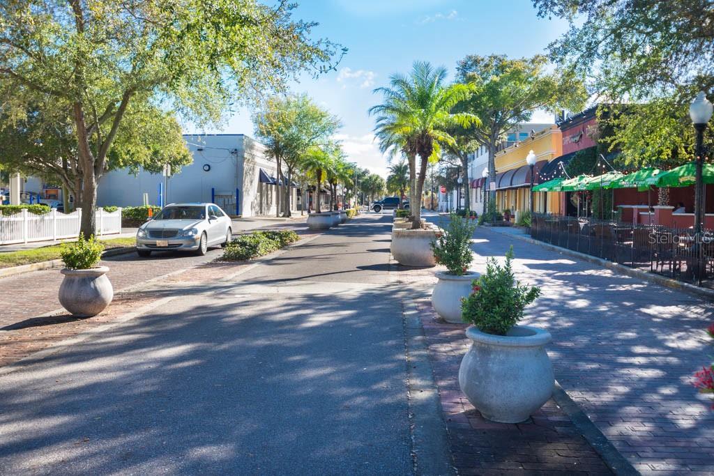 TARPON SPGS OFFICIAL MAP - Residential Lease