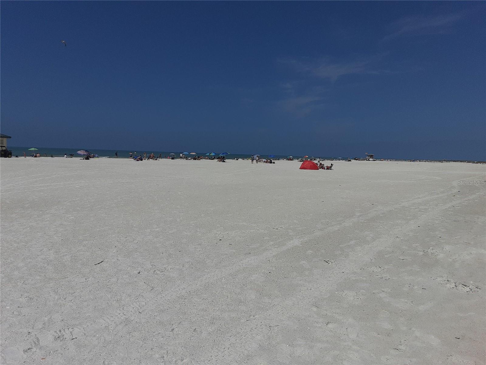 LIDO SHORES - Residential Lease