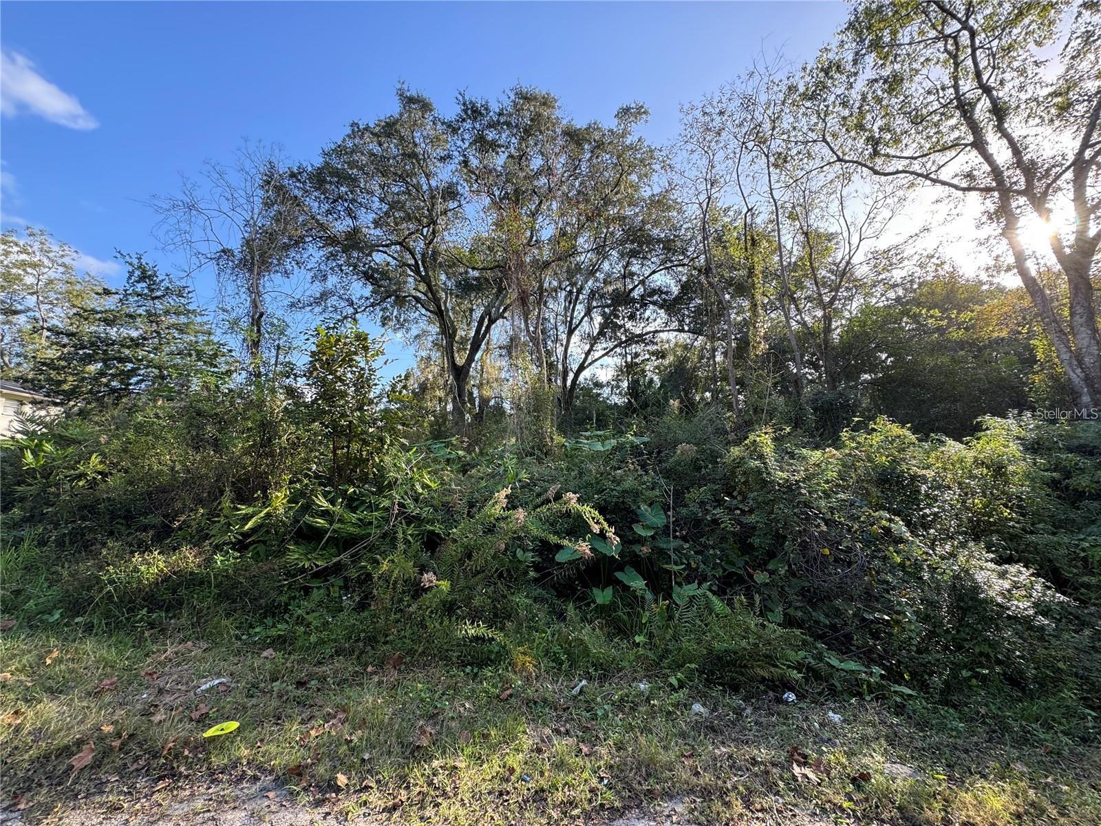 KINCAID ROAD SUB REP - Land