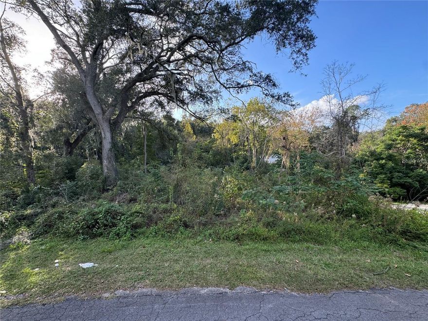 Located in a quiet, established neighborhood, this vacant corner lot offers an excellent opportunity for builders or anyone looking to create their ideal home in the heart of Gainesville. Zoned R-1A for single-family and modular homes (no mobile homes), this property is perfect for your next construction project or personal dream home. Utilities are conveniently nearby. Whether you’re a builder looking to add to the community or an individual looking for a quaint space to create your ideal home, this lot offers a fantastic opportunity. Conveniently located with easy access to local amenities, schools, and parks, this property provides the ideal setting for anyone wanting to settle in Gainesville. Contact us today for more details.