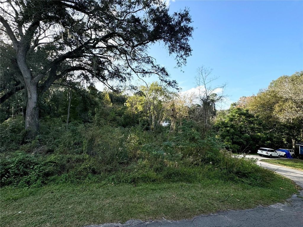 Photo of 00 SE 18th Avenue, Gainesville, FL 32641 (MLS # GC537916)
