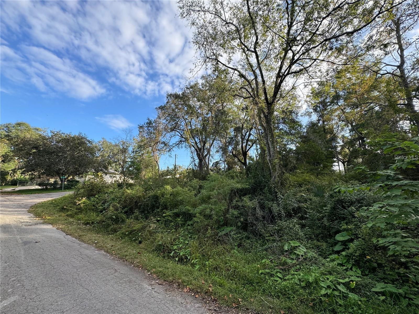 KINCAID ROAD SUB REP - Land