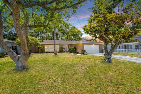 A home in DUNEDIN