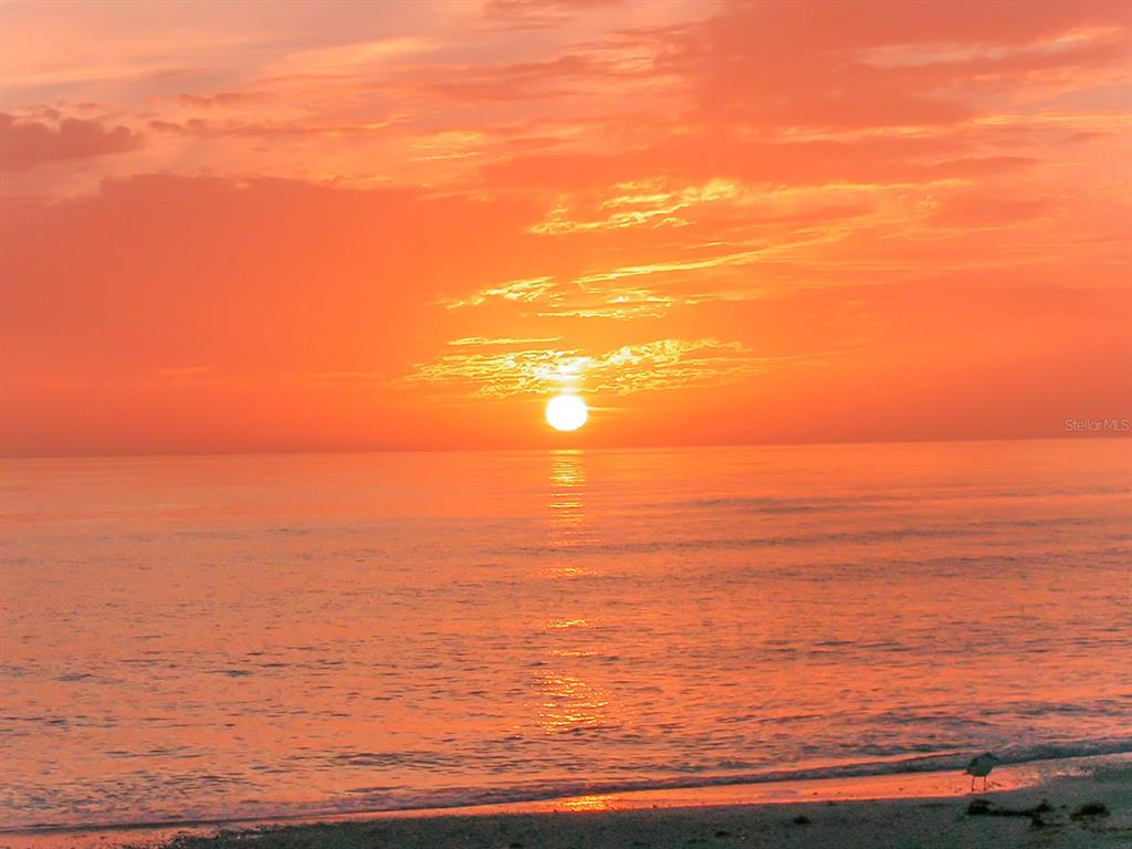 ANCHORAGE - Residential Lease