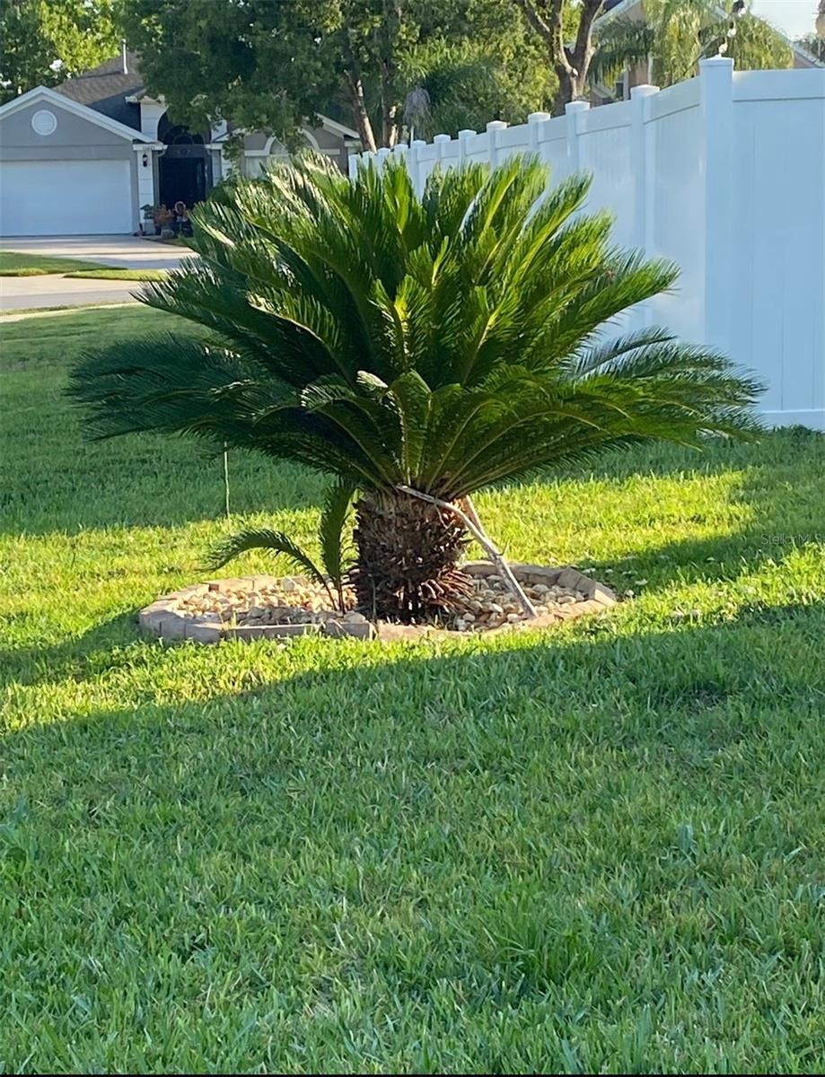 WESTON HILLS SUB - Residential