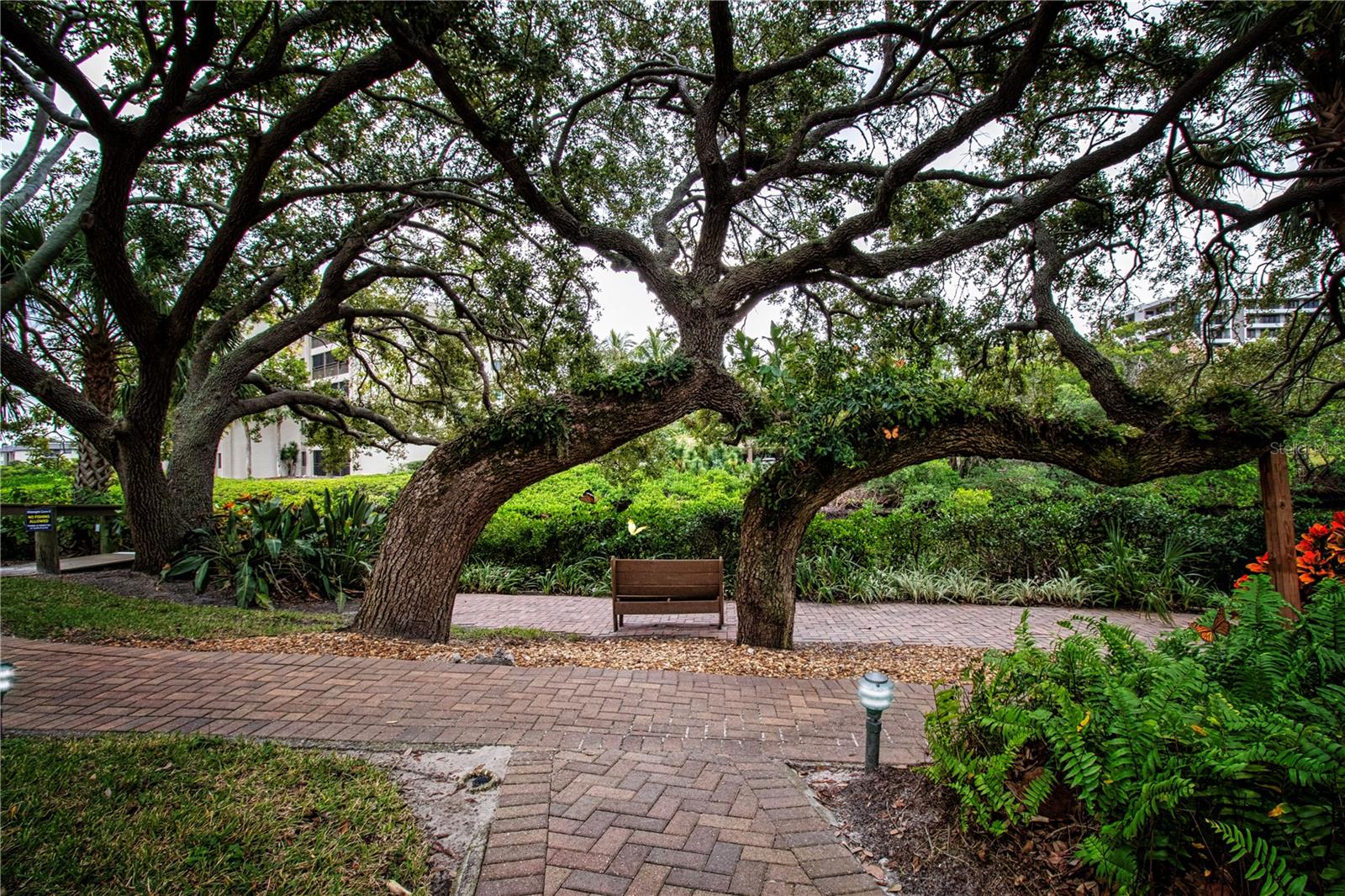 MIDNIGHT COVE II - Residential