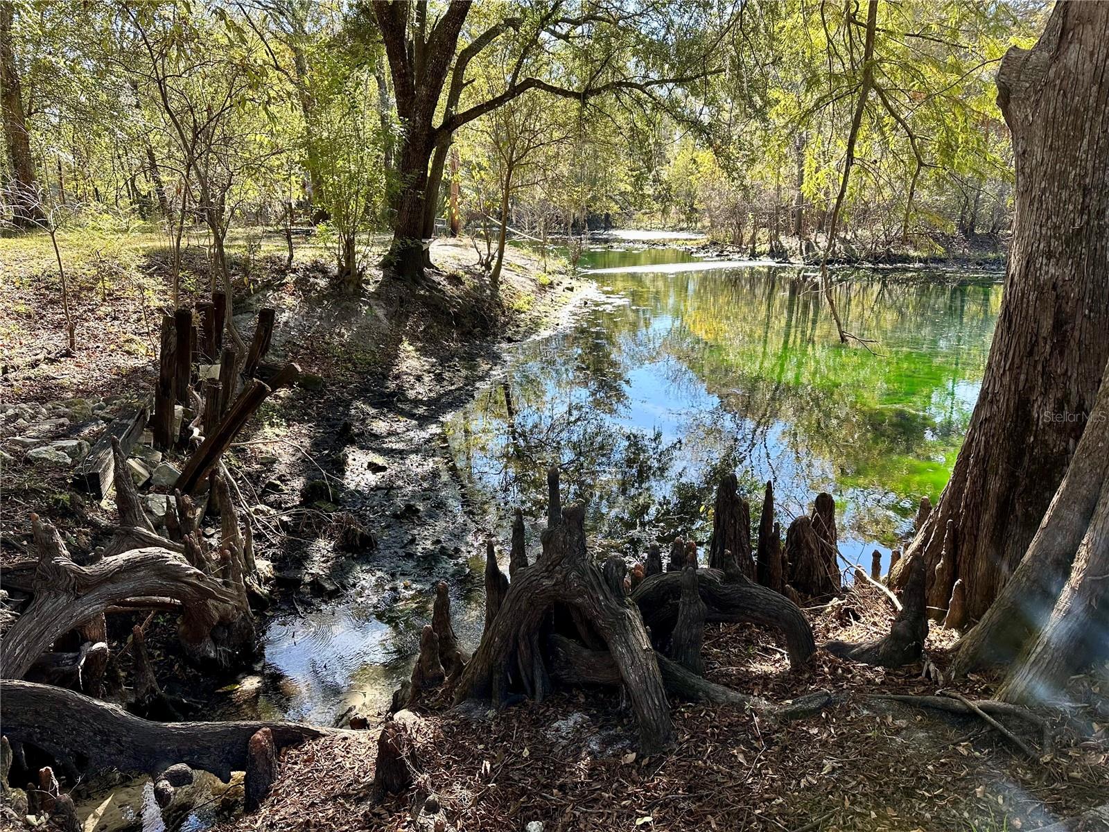 SUWANEE RIVER SPGS UN 3 - Residential