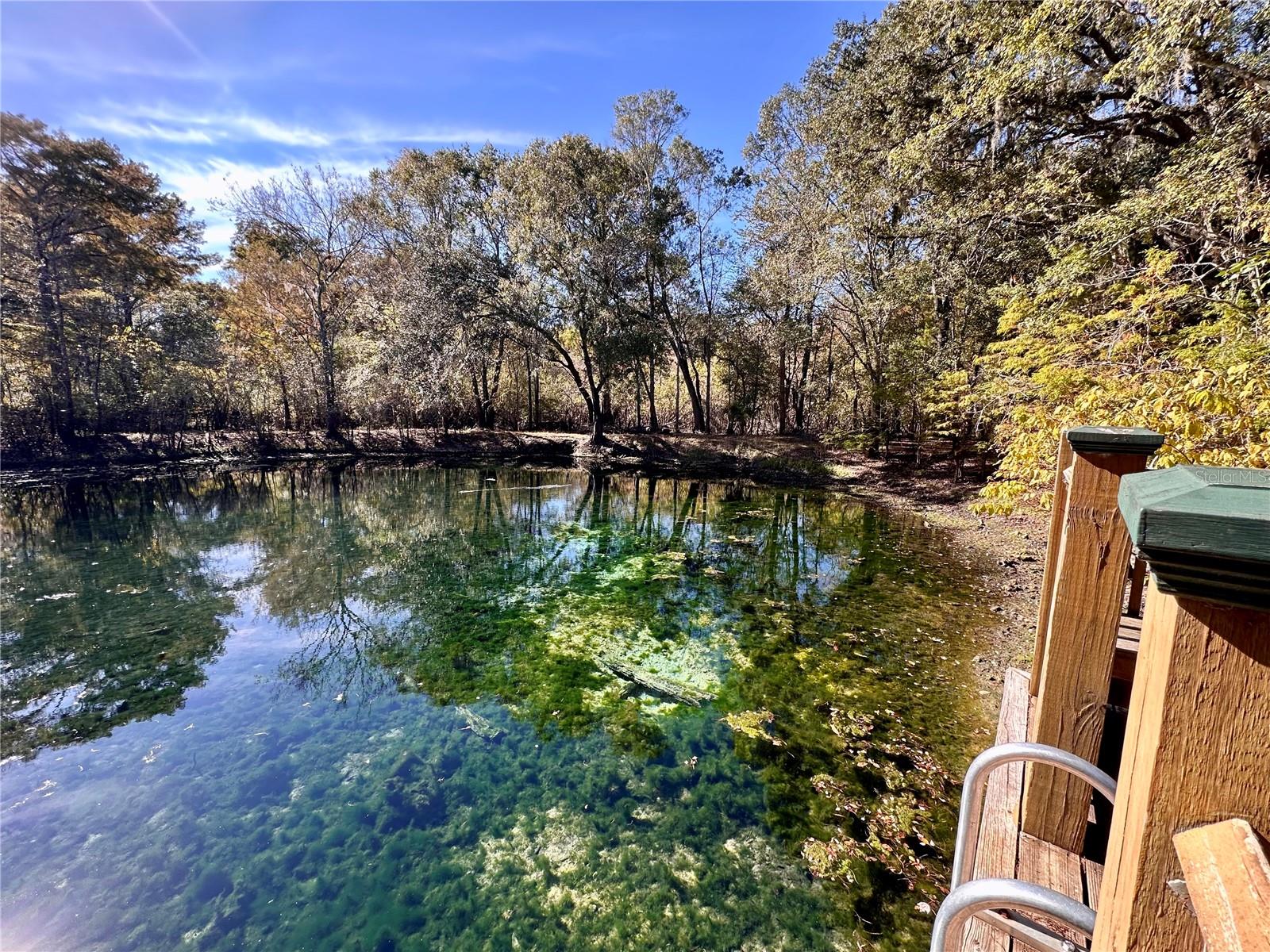 SUWANEE RIVER SPGS UN 3 - Residential