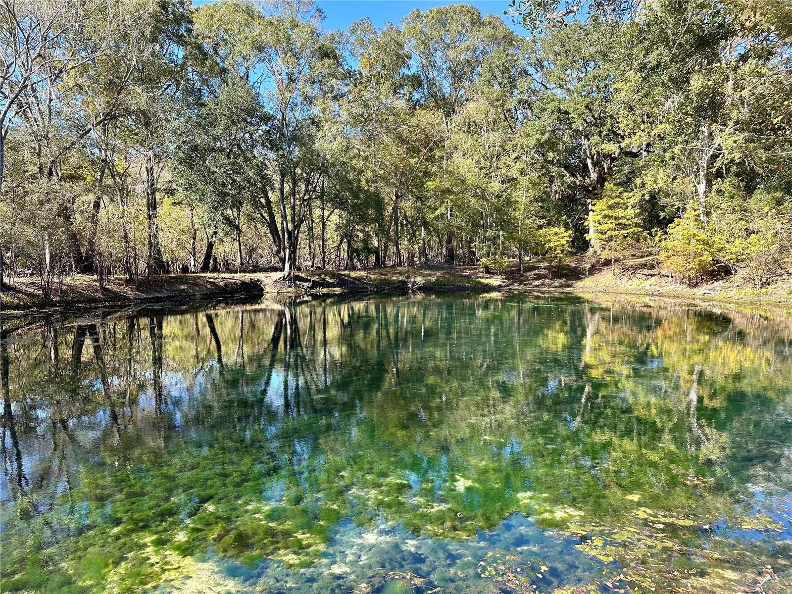 SUWANEE RIVER SPGS UN 3 - Residential