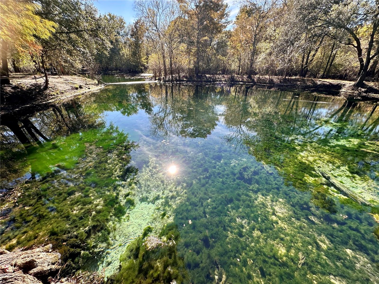 SUWANEE RIVER SPGS UN 3 - Residential