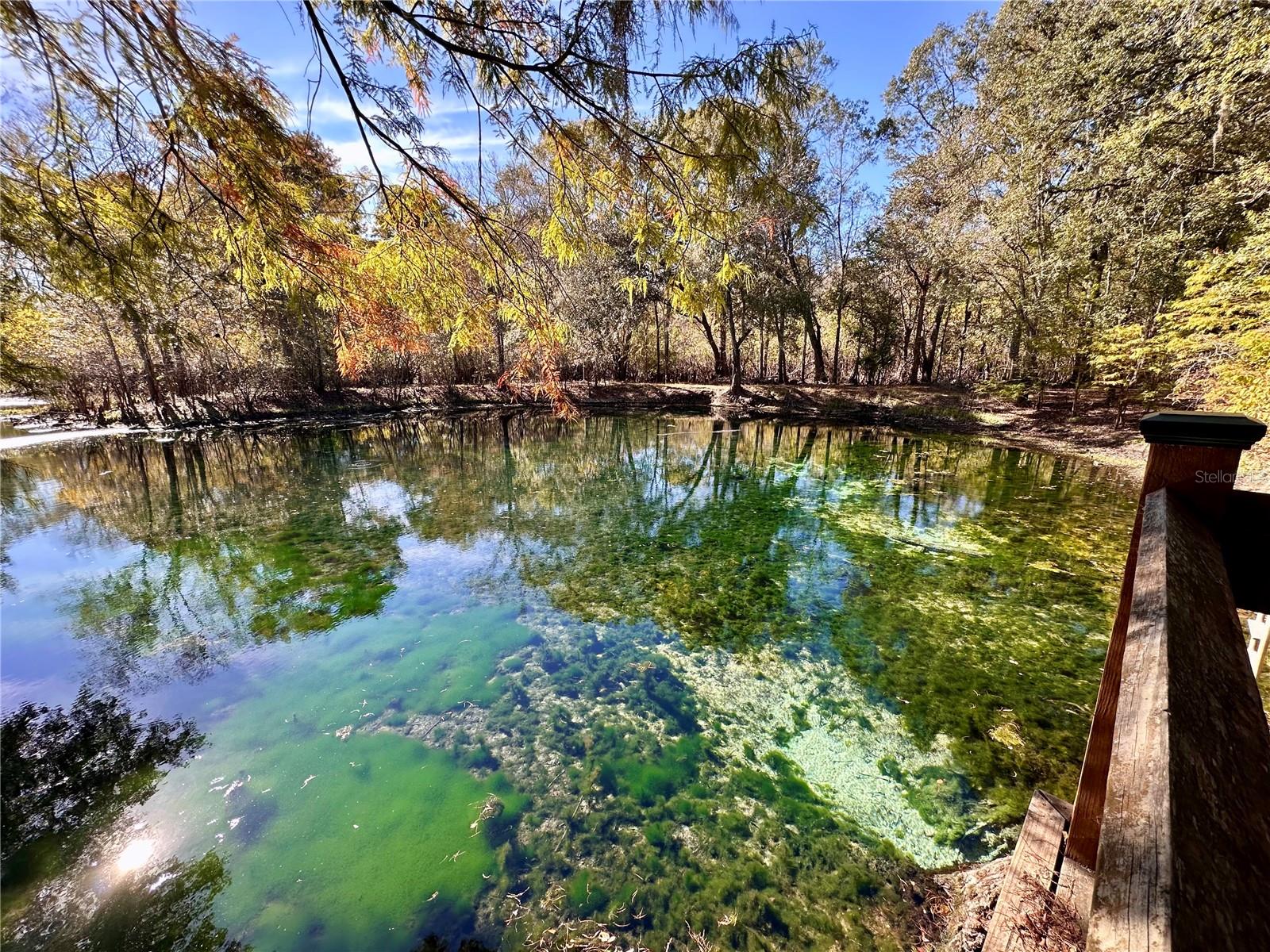 SUWANEE RIVER SPGS UN 3 - Residential