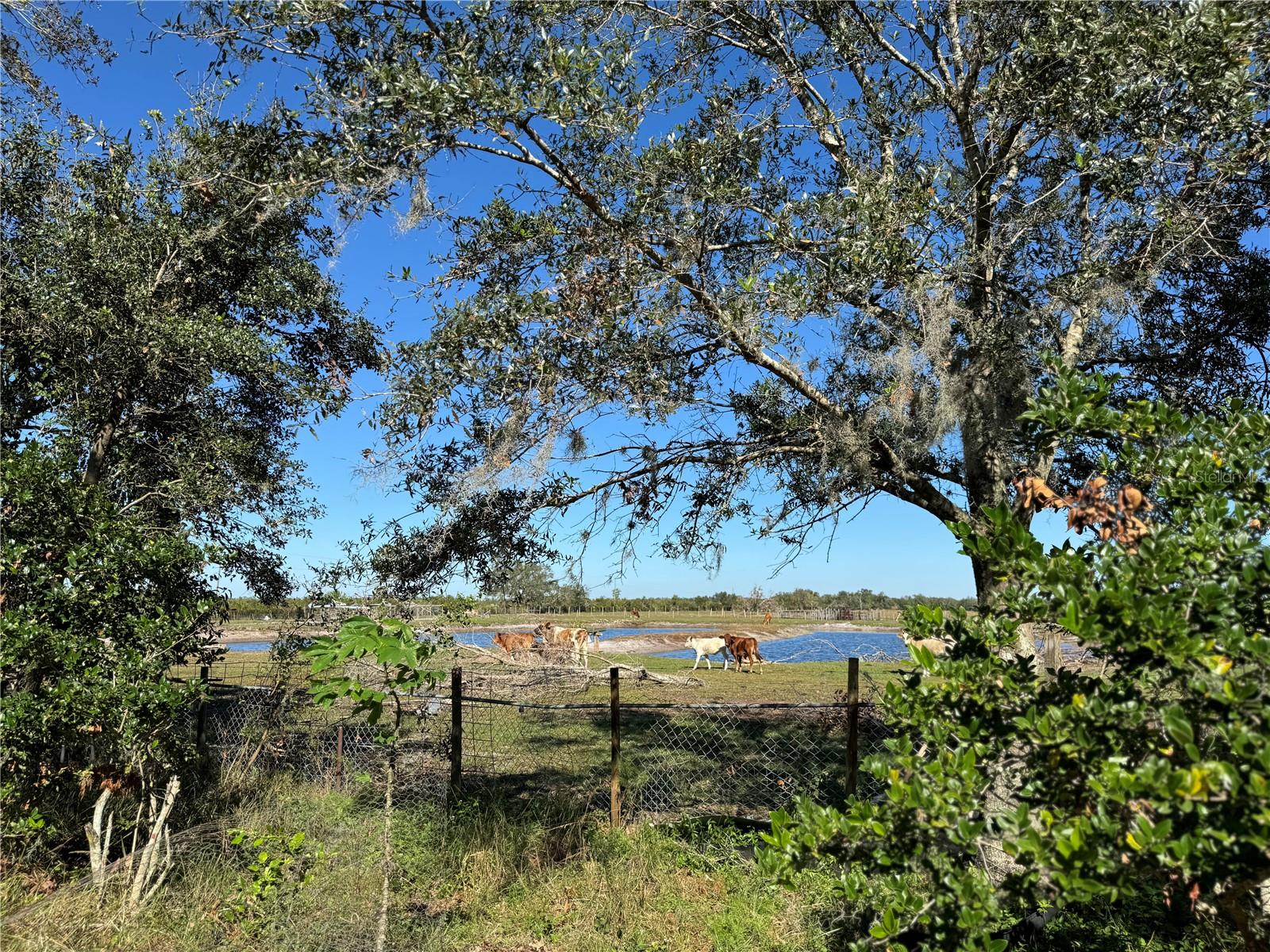 NOT IN A SUBDIVISION - Residential