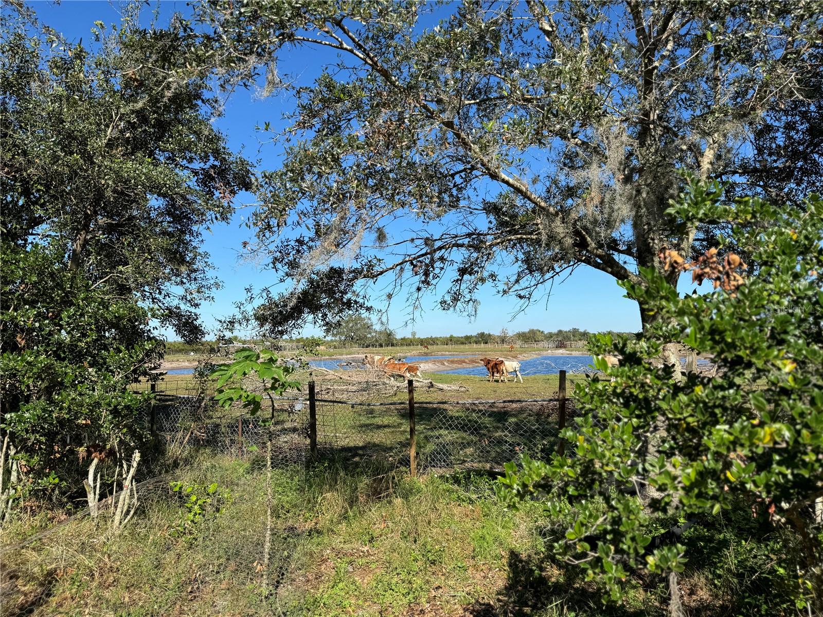 NOT IN A SUBDIVISION - Residential