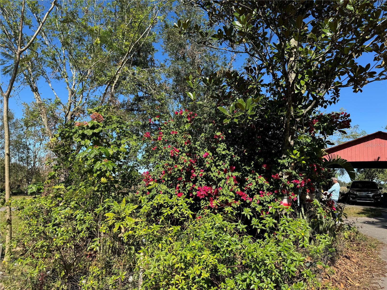 NOT IN A SUBDIVISION - Residential