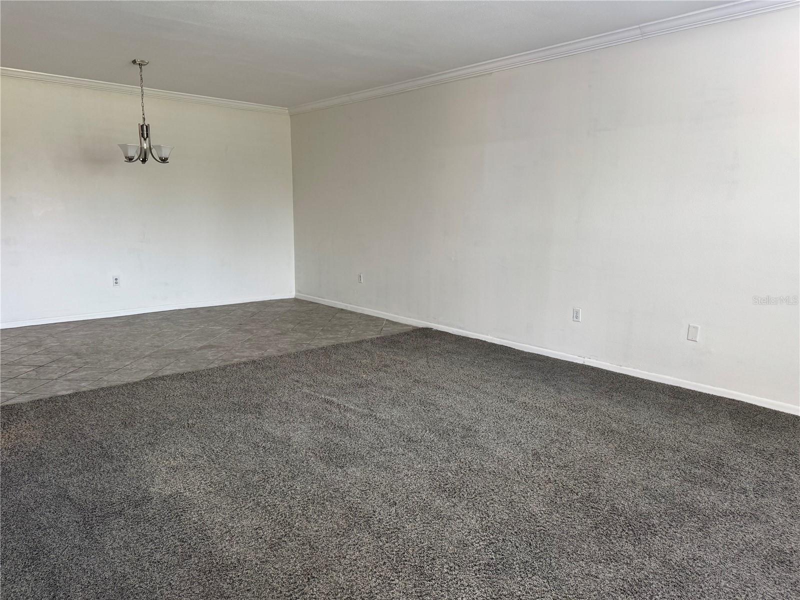 750 ISLAND WAY 101