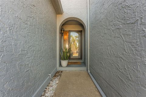 A home in TAMPA