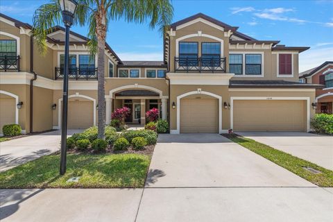 11442 CROWNED SPARROW LANE TAMPA FL 33626