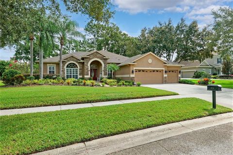 19737 PRINCE BENJAMIN DRIVE LUTZ FL 33549