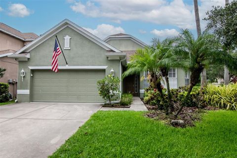 11623 GREENSLEEVE AVENUE TAMPA FL 33626