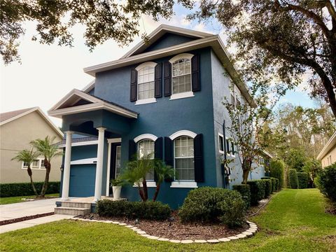 A home in LAND O LAKES