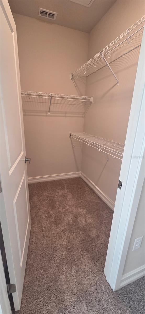 TAVARES ST CLAIR ABRAMS EXT - Residential Lease