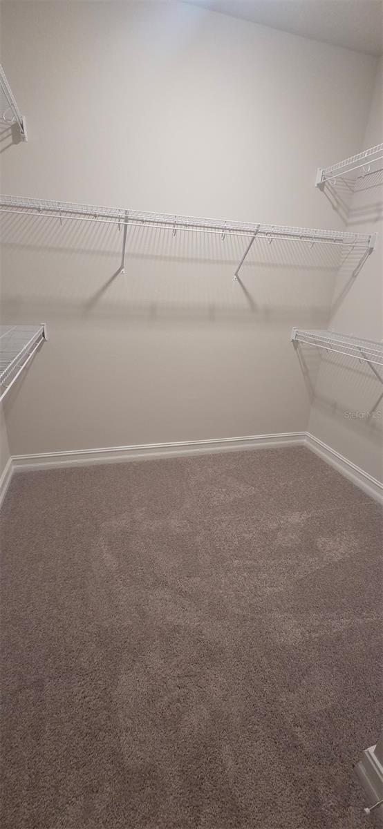 TAVARES ST CLAIR ABRAMS EXT - Residential Lease