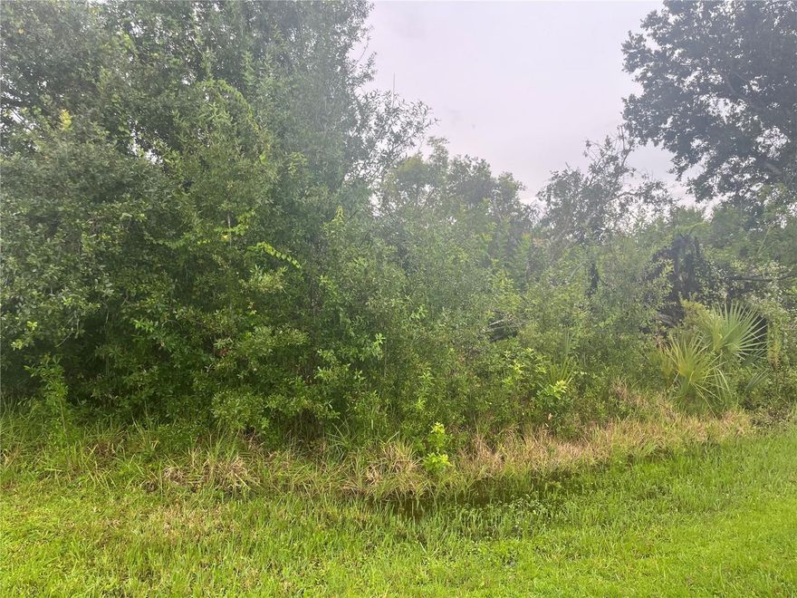 Now is the time to buy! Wooded residential single-family lot in SWFL. Near Punta Gorda airport, Tampa Airport, Restaurants, entertainment. And located near the Beautiful Southwest Florida Beaches, Manasota Key Beach, Blind Pass Beach and Venice Beaches. Southwest Florida is growing and a wonderful spot for you to build your dream vacation or retirement home.