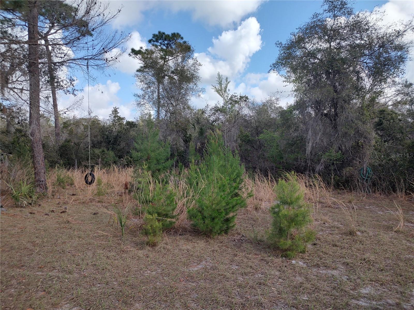 ASSESSORS LT 02 03 04 & NW 01/4 SW 01/4 32 15 30 - Residential