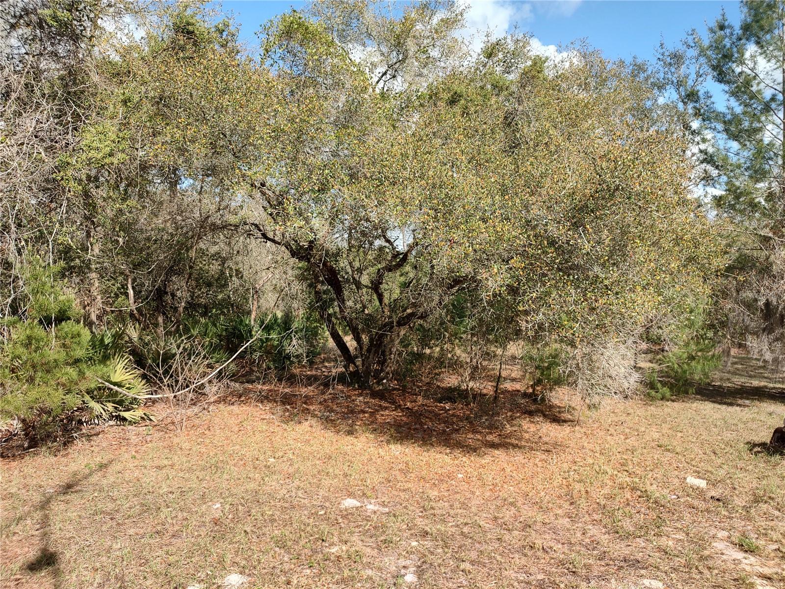 ASSESSORS LT 02 03 04 & NW 01/4 SW 01/4 32 15 30 - Residential