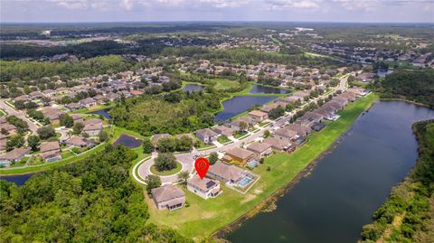 A home in LAND O LAKES