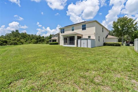 A home in LAND O LAKES