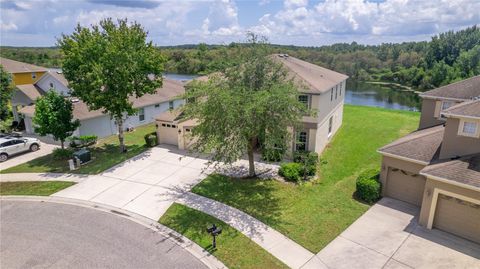 A home in LAND O LAKES