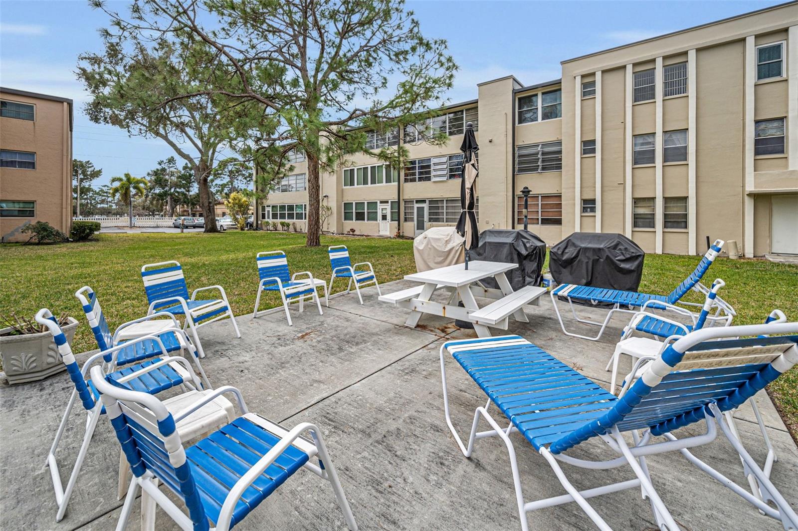 BAY PINES APTS CONDO - Residential