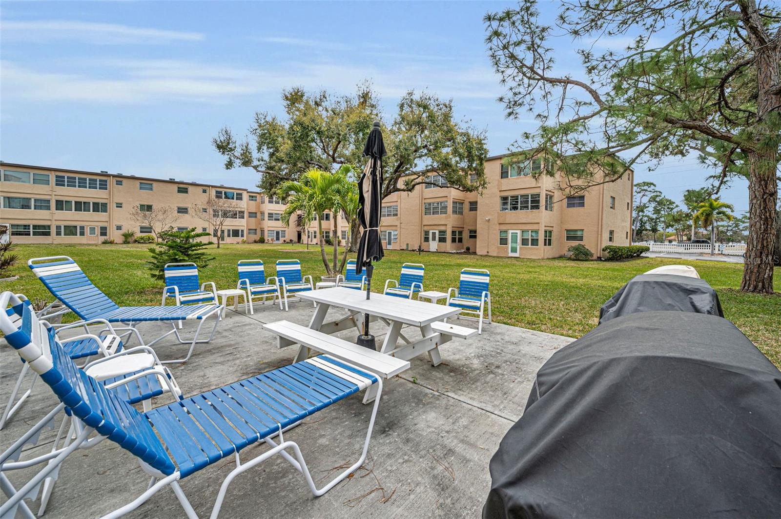 BAY PINES APTS CONDO - Residential