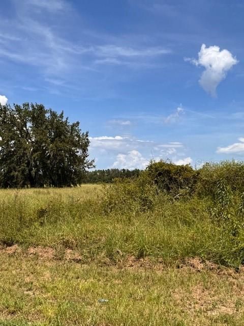 Tiny photo for Haywood Worm Farm Road, Leesburg, FL 34748 (MLS # G5102141)