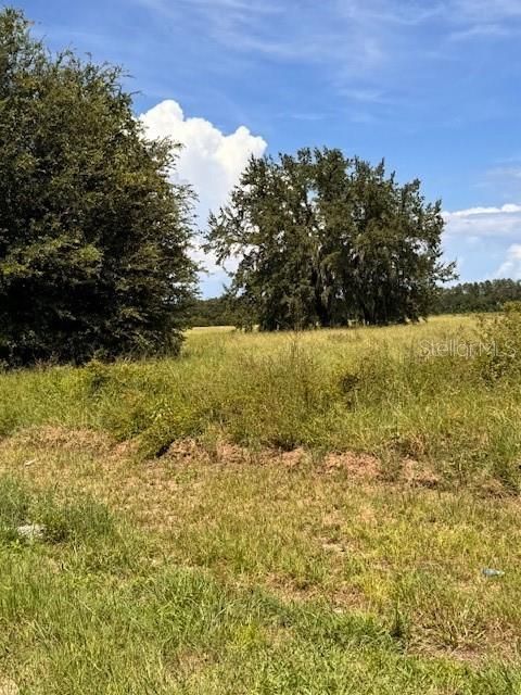 Tiny photo for Haywood Worm Farm Road, Leesburg, FL 34748 (MLS # G5102141)