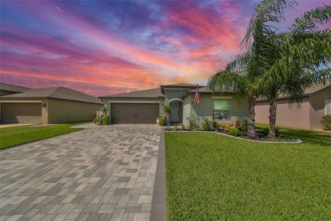 A home in APOLLO BEACH