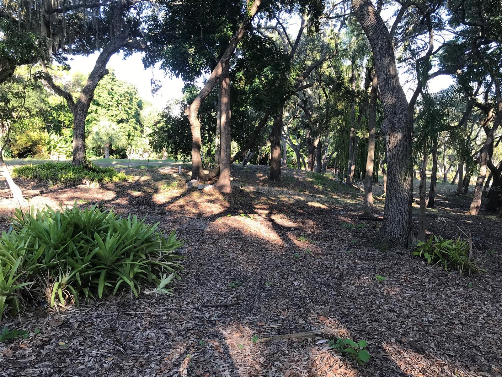 SARASOTA-VENICE CO RIVER SUB - Land