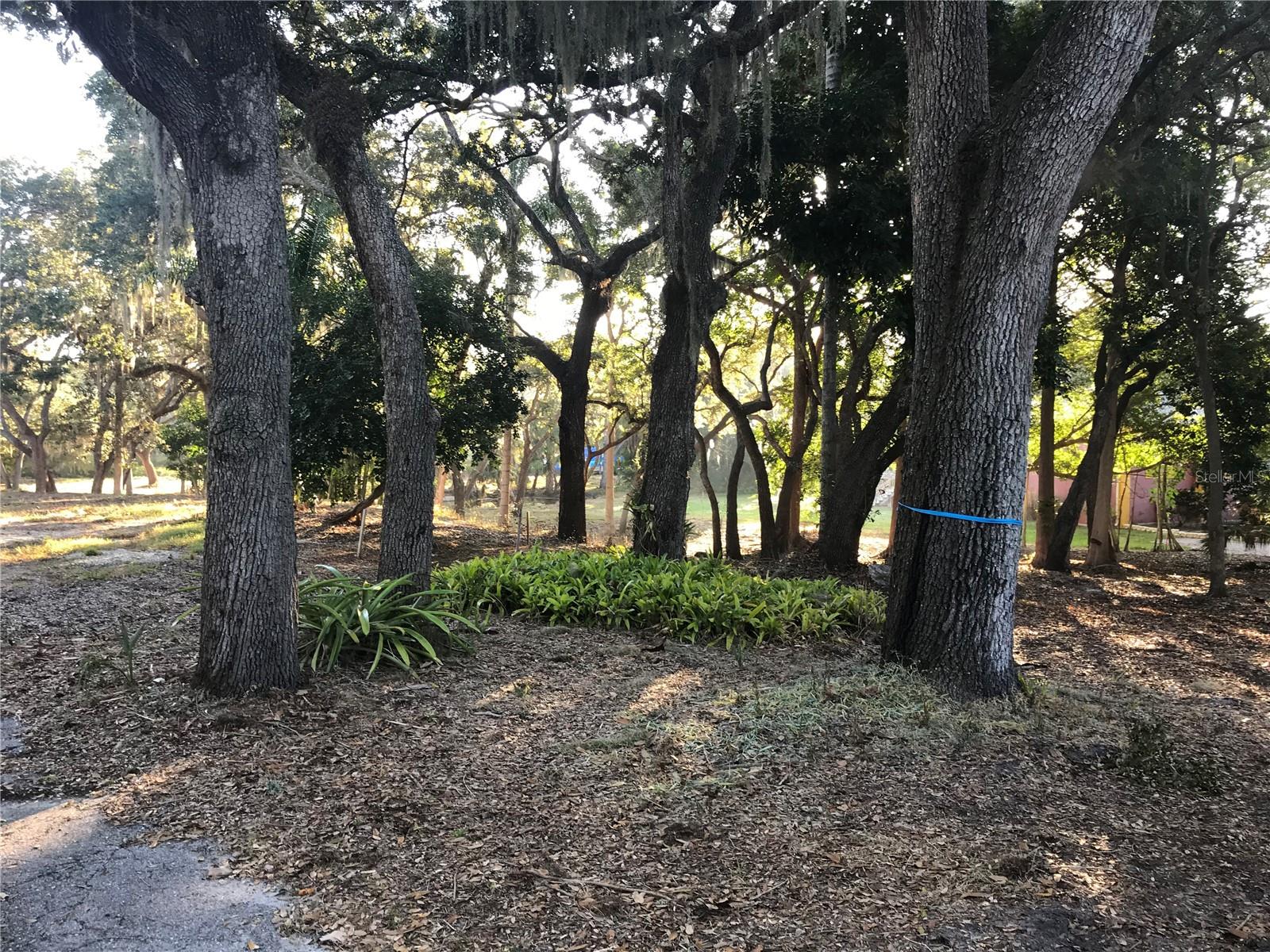 SARASOTA-VENICE CO RIVER SUB - Land