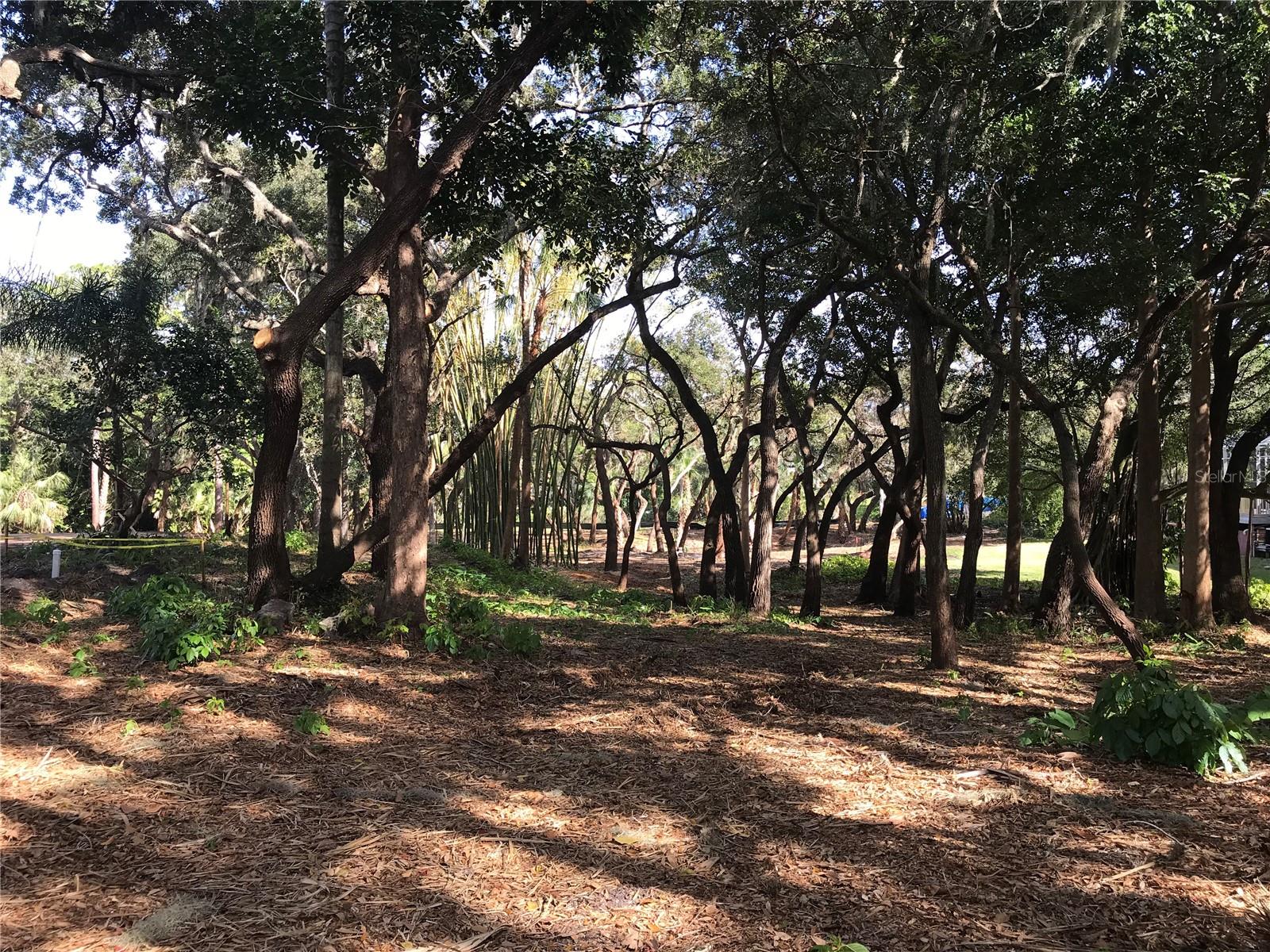 SARASOTA-VENICE CO RIVER SUB - Land