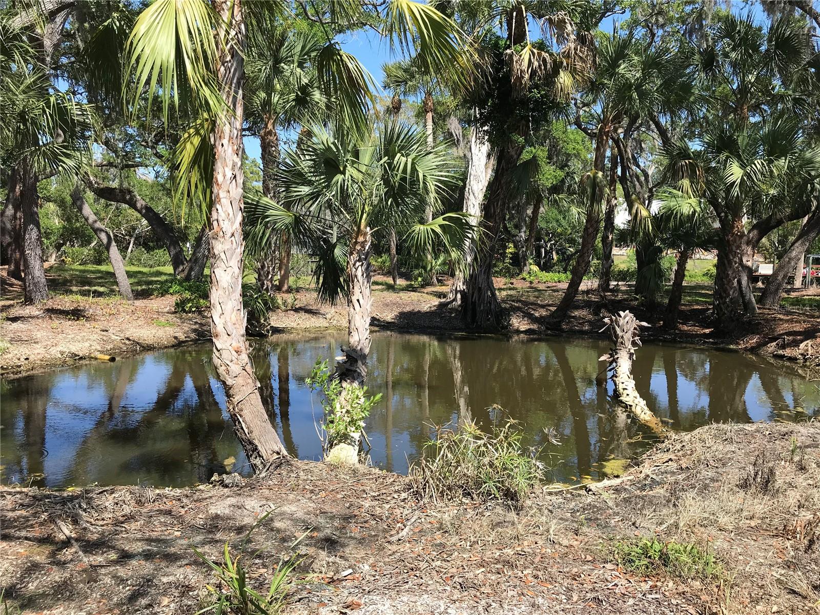 SARASOTA-VENICE CO RIVER SUB - Land