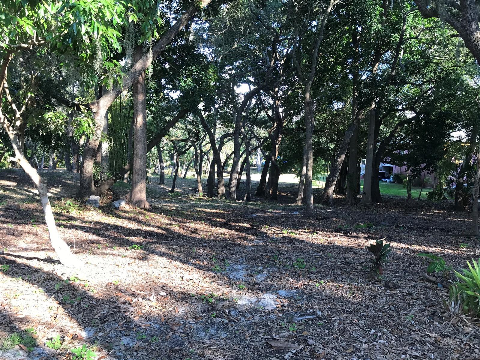 SARASOTA-VENICE CO RIVER SUB - Land