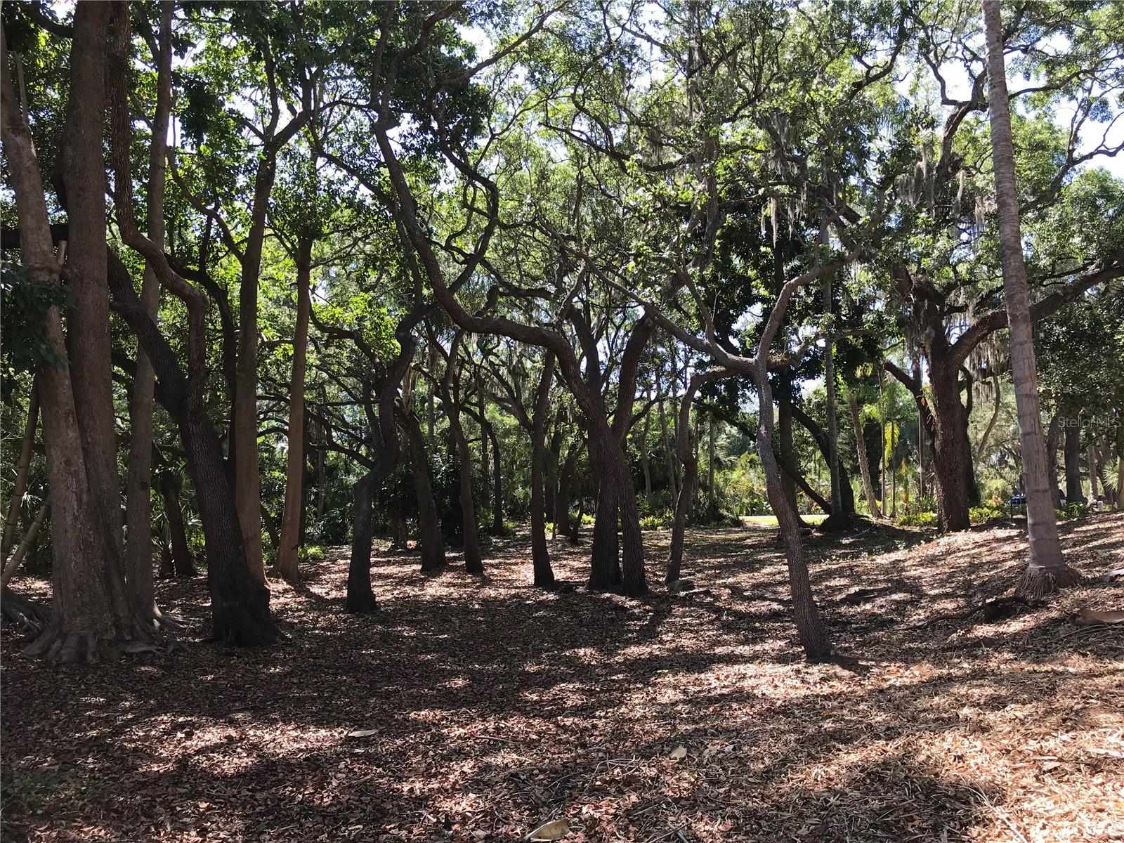SARASOTA-VENICE CO RIVER SUB - Land